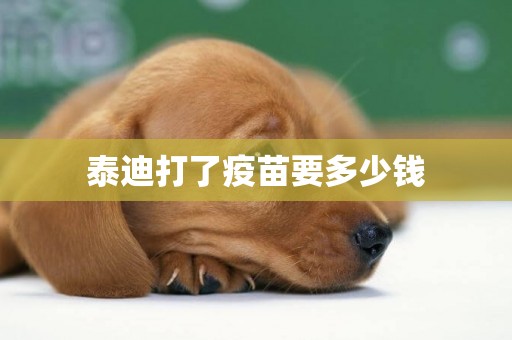 泰迪打了疫苗要多少錢