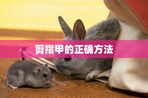 剪指甲的正確方法