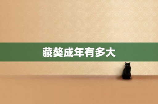 藏獒成年有多大