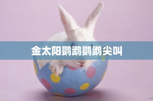 金太陽鸚鵡鸚鵡尖叫