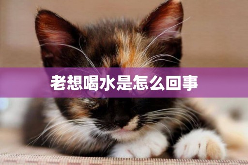 老想喝水是怎么回事