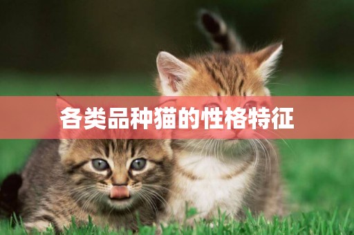 各類品種貓的性格特征