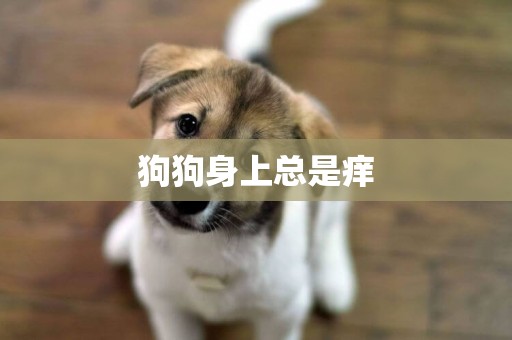 狗狗身上總是癢