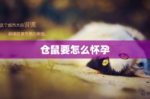 倉鼠要怎么懷孕