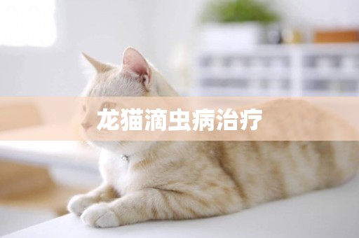 龍貓滴蟲病治療