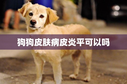 狗狗皮膚病皮炎平可以嗎