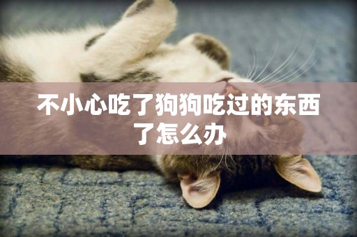 不小心吃了狗狗吃過的東西了怎么辦