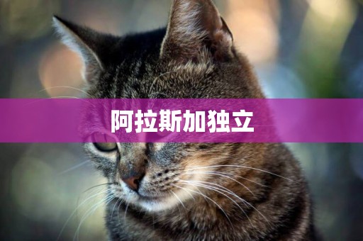 阿拉斯加獨立