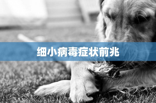 細小病毒癥狀前兆