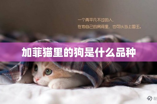加菲貓里的狗是什么品種