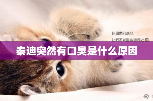 泰迪突然有口臭是什么原因
