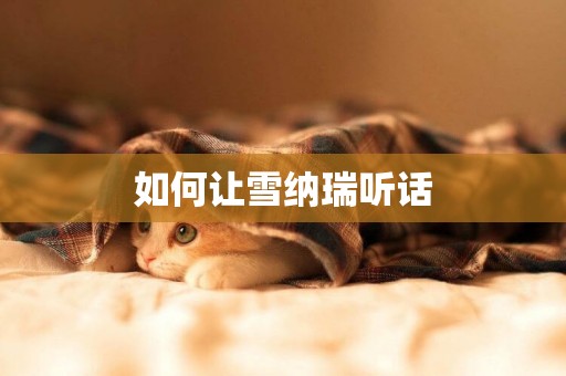 如何讓雪納瑞聽話