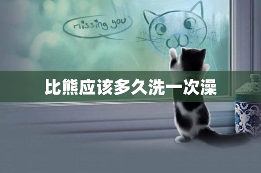 比熊應該多久洗一次澡