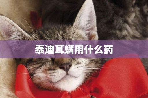泰迪耳螨用什么藥