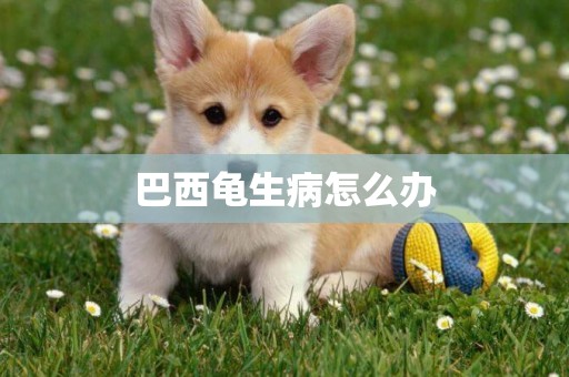 巴西龜生病怎么辦