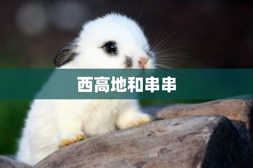 西高地和串串