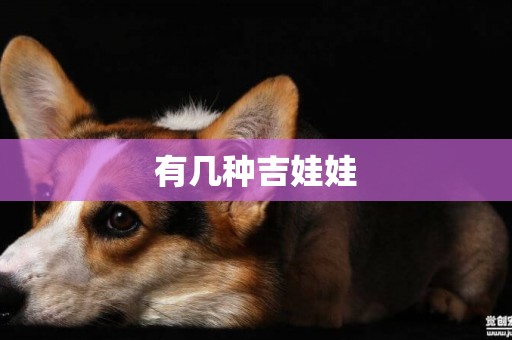有幾種吉娃娃