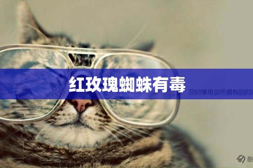 紅玫瑰蜘蛛有毒