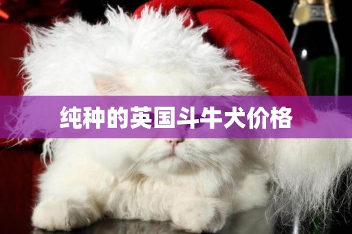 純種的英國斗牛犬價格