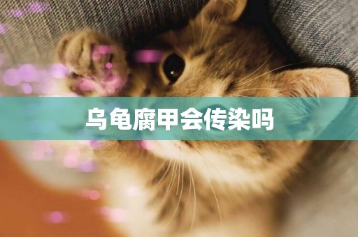 烏龜腐甲會傳染嗎