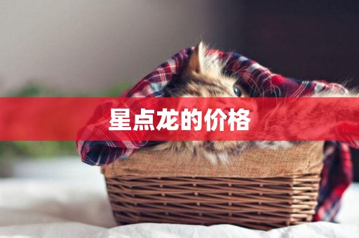 星點龍的價格