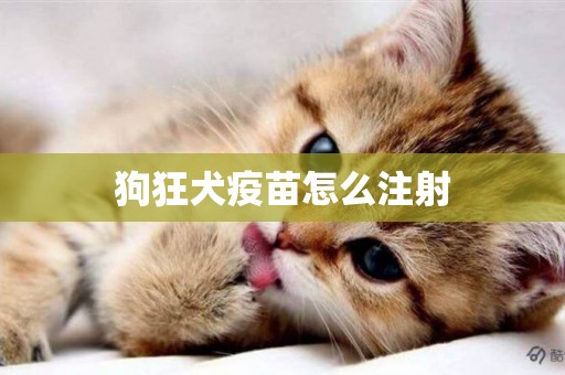 狗狂犬疫苗怎么注射