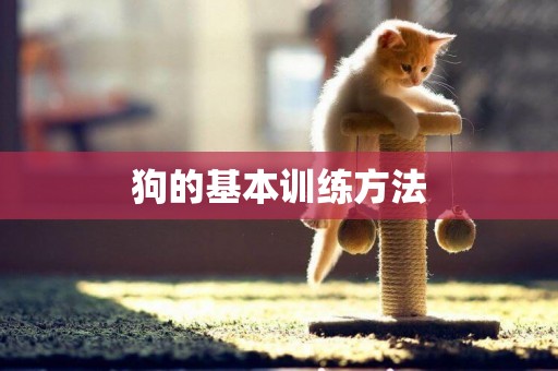 狗的基本訓練方法