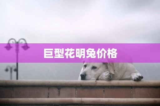巨型花明兔價格