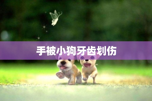 手被小狗牙齒劃傷