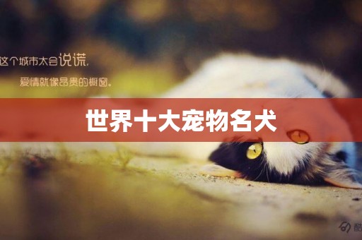 世界十大寵物名犬