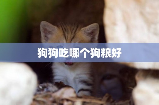 狗狗吃哪個狗糧好