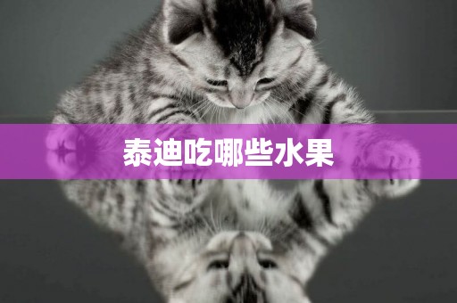 泰迪吃哪些水果