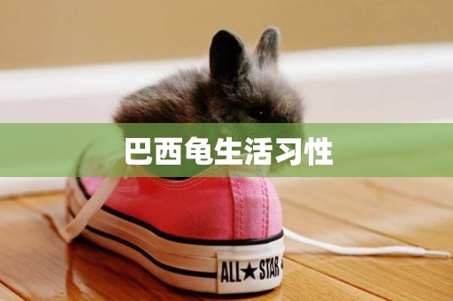 巴西龜生活習性