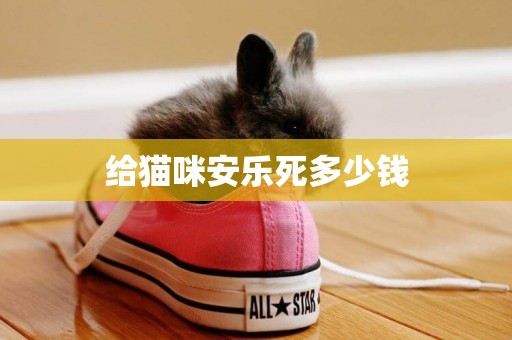 給貓咪安樂死多少錢