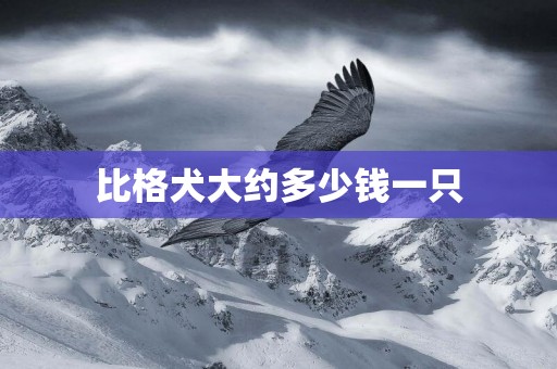 比格犬大約多少錢一只