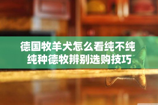 德國牧羊犬怎么看純不純 純種德牧辨別選購技巧