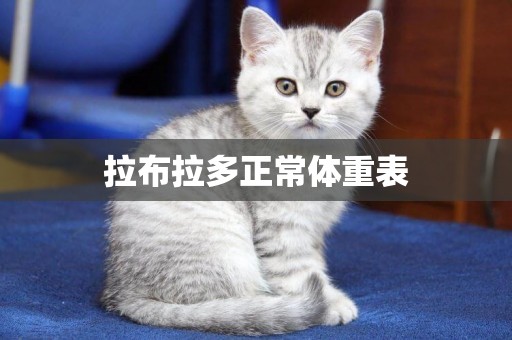 拉布拉多正常體重表