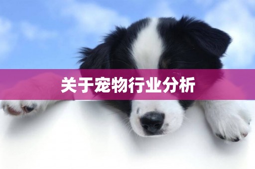 關于寵物行業分析