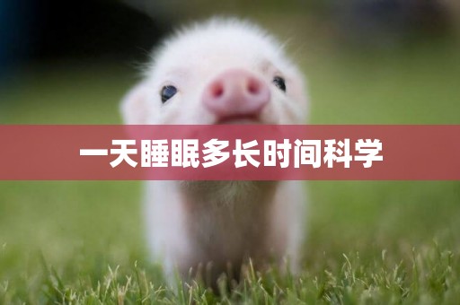 一天睡眠多長時間科學