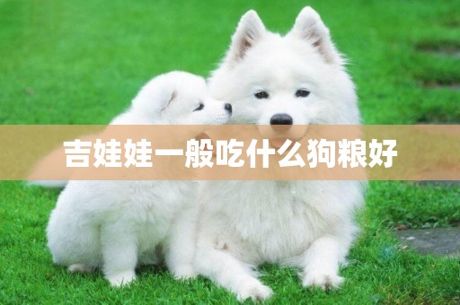 吉娃娃一般吃什么狗糧好