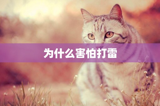 為什么害怕打雷