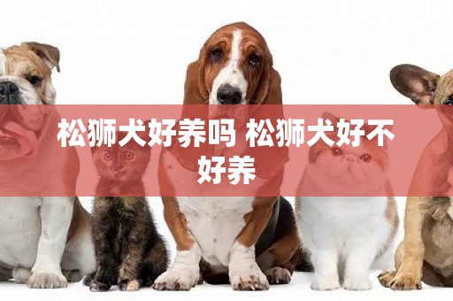 松獅犬好養嗎 松獅犬好不好養