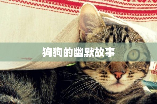 狗狗的幽默故事