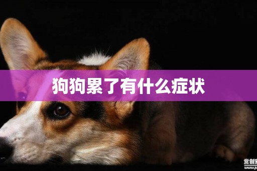 狗狗累了有什么癥狀