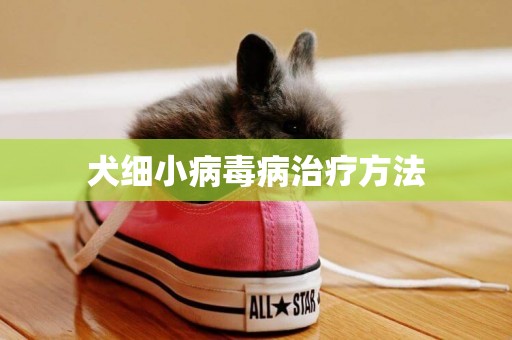 犬細小病毒病治療方法