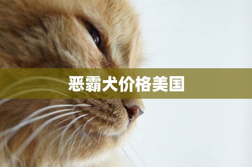 惡霸犬價格美國