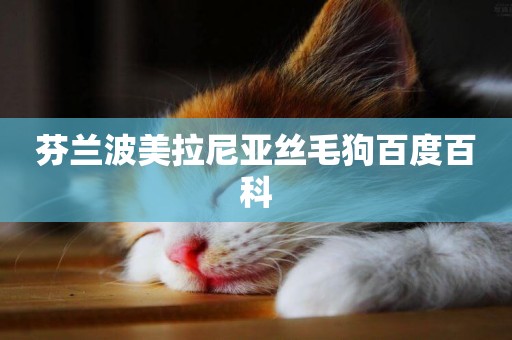 芬蘭波美拉尼亞絲毛狗百度百科