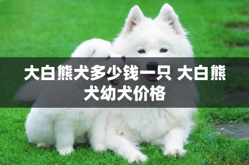 大白熊犬多少錢一只 大白熊犬幼犬價格