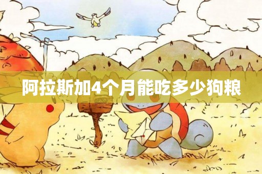 阿拉斯加4個月能吃多少狗糧