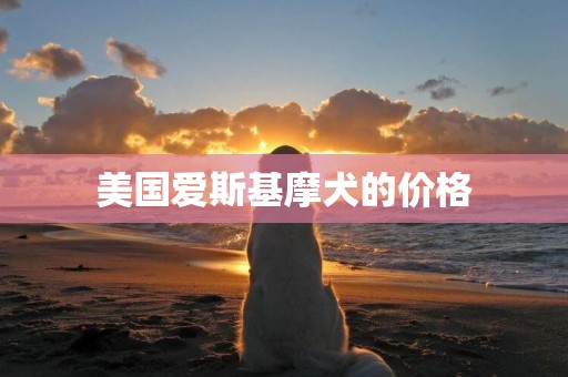 美國愛斯基摩犬的價格